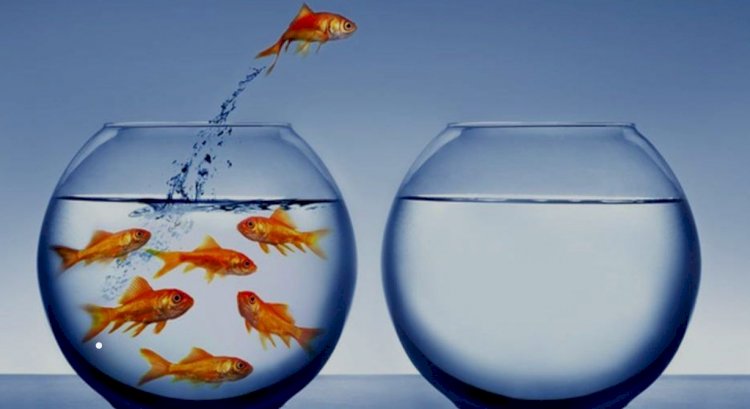 Outside-in Approach to Commercial Real Estate Real Estate